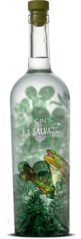 botella_MG_3430