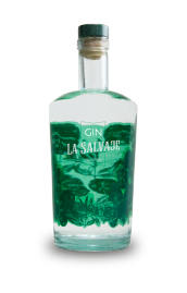 botella